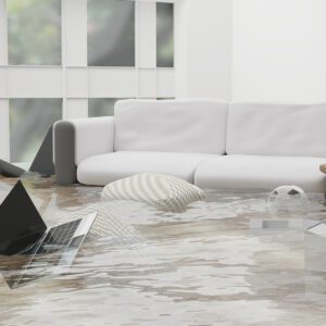 An image of a flooded living room