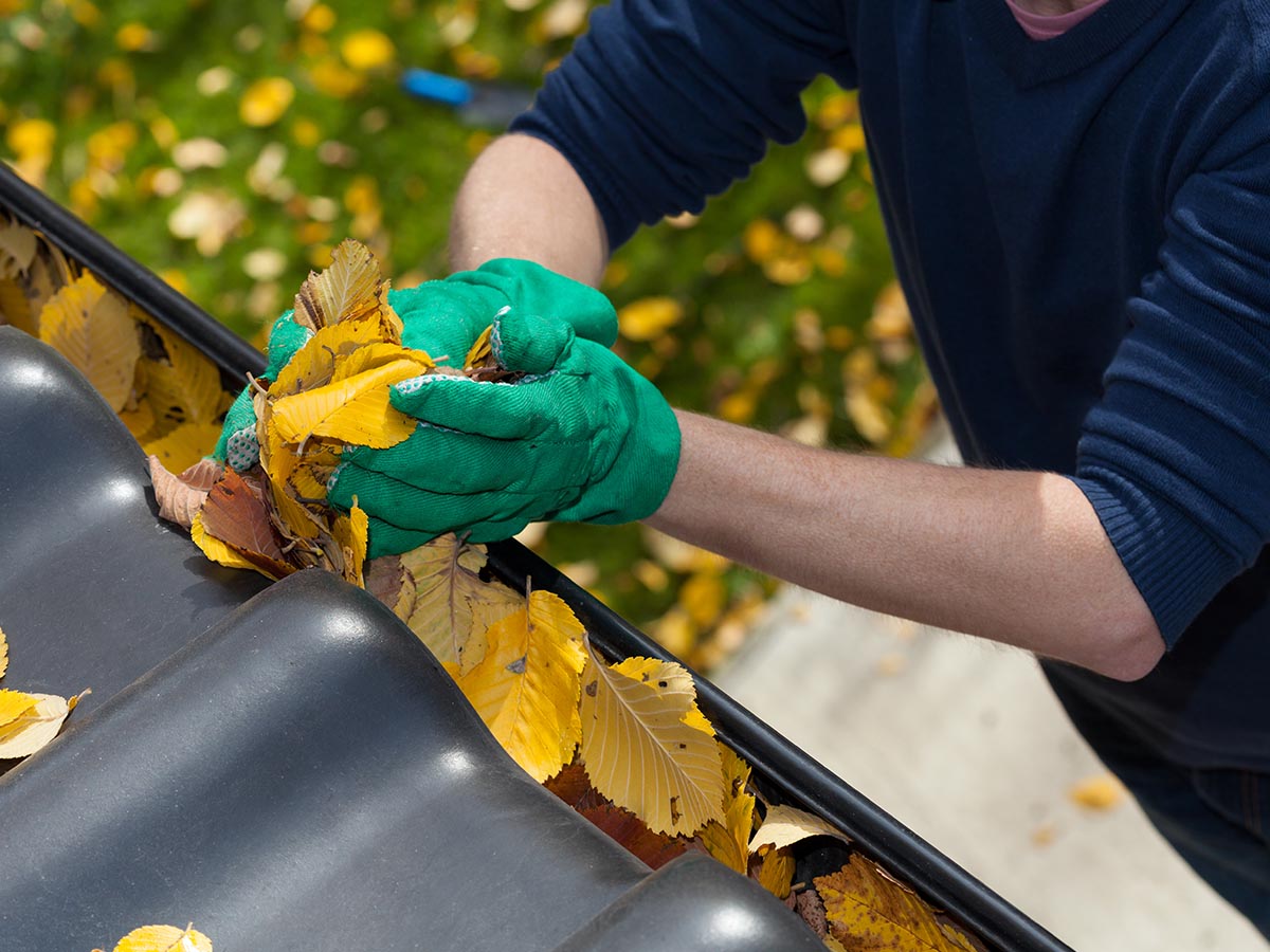 Person cleaning leaves out of gutter