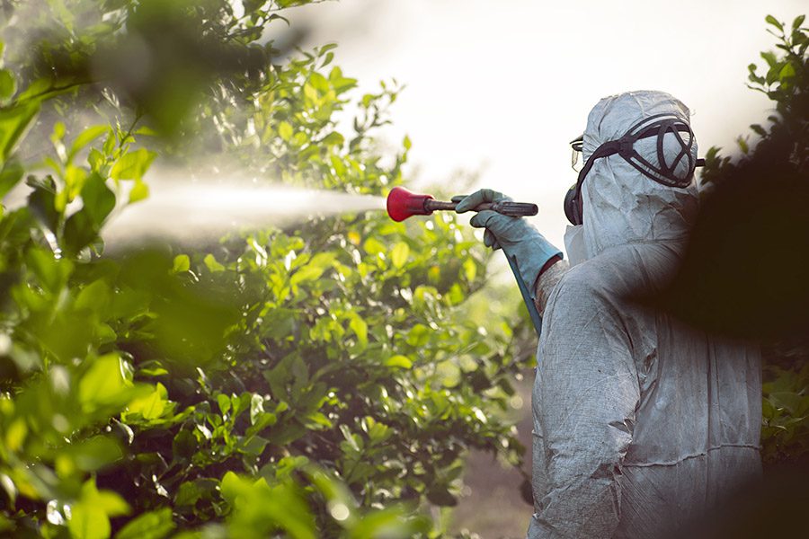 Mosquito and Pest Control Insurance - Person in Protective Suit Spraying Pesticides on the Plants at a Farm